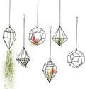 Iron Air Plant Holder, 6PCS Geometric Tillandsia Stand - Wall Mounted Hanging Planter for Home Office Decor, Black Metal Himmeli Craft for Air Ferns, Small Airplants Display