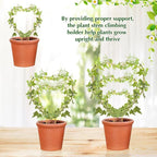 Hoya Trellis 3 Size Indoor Plants Flower Support Stakes Round or Heart Metal Trellis Set Garden Tool Accessories for Small Potted Vine Climbing Houseplants (GoldenH)