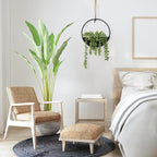 CEWOR 2pcs Artificial Hanging Succulent Plants, Fake String of Pearls in Pot with Lanyard Boho Wall Decor for Bathroom Living Room Home Indoor Outdoor Decorations, Black