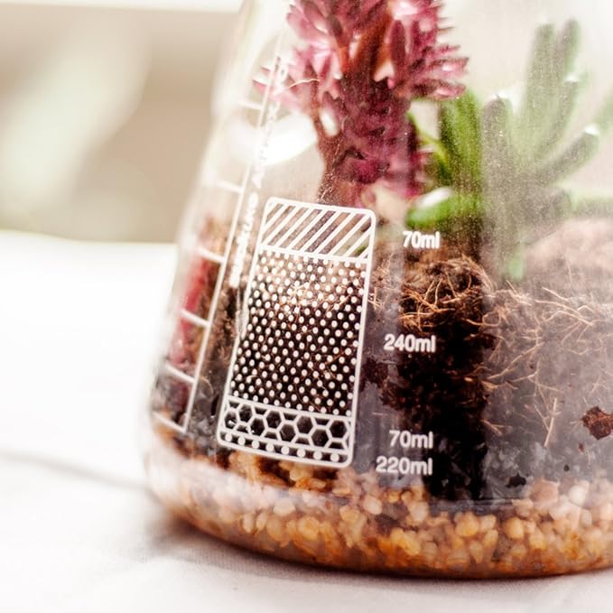 Suck UK Terrarium Chemistry Set | Chemistry Flask Terrarium Kit for Indoor Plants | Terrarium Kit for Kids & Adults | Glass Terrarium with Soil for Succulent Plants | Mini Ecosystem |