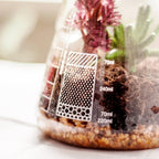 Suck UK Terrarium Chemistry Set | Chemistry Flask Terrarium Kit for Indoor Plants | Terrarium Kit for Kids & Adults | Glass Terrarium with Soil for Succulent Plants | Mini Ecosystem |
