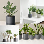 Yukfona Ceramic Plant Saucer Pot Tray 12 Inch, Planter Saucers 4 5 6 7 8 9 10 11 12 13 Inch for Indoors Outdoor, Durable Sturdy Flower Drainage drip Water Tray for Glazed Pots Base (12.7 Inch-Grey)