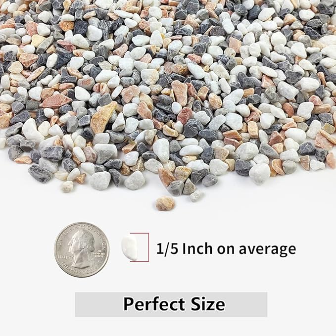 YISZM 2LB Succulent and Cactus Gravel Pebbles, 1/5 Inch Natural Decorative Polished Stones, River Rocks for Vases, Aquariums, Terrarium and Outdoor Gardening, Mixed Color