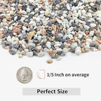 YISZM 5LBS Succulent and Cactus Gravel Pebbles, 1/5 Inch Natural Decorative Polished Stones, River Rocks for Vases, Aquariums, Terrarium and Outdoor Gardening, Mixed Color