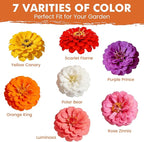 Zinnia Seeds for 2026 Planting, 5000+ Flowers Seeds, 7 Vibrant Colors Mix & Large Bloom, Non-GMO Heirloom Wildflower Seeds for Pollinator Garden Outdoor Borders, Easy to Grow Annual Flowers