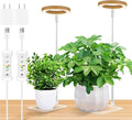 yadoker Plant Grow Light, LED Growing Light Full Spectrum for Indoor Plants,Height Adjustable, Automatic Timer, 5V Low Safe Voltage,Idea for Small Plants