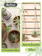 6 Pcs Hanging Wooden Air Plant Holder - 3" Round Airplants Live Hanger with Ropes, Rustic Tillandsia Succulent Display Container Stand for Home Office Decor Housewarming Gift (Excluding Plants)