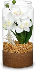 White Orchids Artificial Flowers with Vase, Small Faux Orchid Arrangement Fake Orchids Plant in Terrarium Jar Small White Orchid Centerpieces for Kitchen Dining Room Tables Bathroom Nightstand Decor