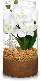 White Orchids Artificial Flowers with Vase, Small Faux Orchid Arrangement Fake Orchids Plant in Terrarium Jar Small White Orchid Centerpieces for Kitchen Dining Room Tables Bathroom Nightstand Decor