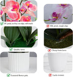 4Pcs Fake Orchids Artificial Flowers Washable Phalaenopsis Orchids Flowers in Pot for Home Wedding Table Centerpiece Bathroom Office Decoration (Purple & Red)