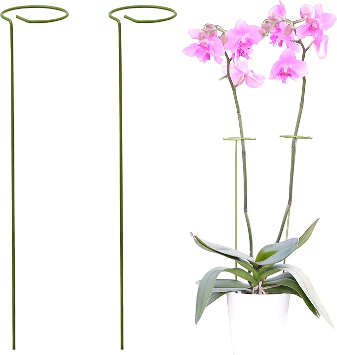 2 Pack Plant Stakes | Plant Supports for Tall Plants and Flowers | Green Garden Stakes | Help Your Flowers Grow | Tomato Cages for Garden | Plant Sticks for Orchid, Amaryllis, Peony, Peppers and More