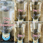 4 Pack Elephant Shape Terracotta Watering Spikes, Plant Watering Globes(Up to 7 Days of Watering), Automatic Plant Waterer for Indoor Outdoor Plants