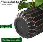 florisso Artificial Succulents with Fig Leaf Greenery in Black & Gold Planter, Fake Succulents Potted Decor for Farmhouse, Bathroom, Bedroom, Kitchen, Office Desk and Coffee Table (Black Gold)