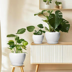 Ceramic Pot for Plants - 10 Inch Planter with Drainage Hole and Saucer, Glaze Modern Round Flower Pot for Indoor Plants, Housewarming Gift, Home Decor, White