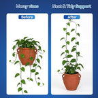 2 Pack U-Shaped Clear Acrylic Plant Supports - 23 inches Indoor/Outdoor Climbing Vine Trellis for Potted Plants, Ideal for Ivy & Tropical Houseplants,Plant Support Hoya Trellis (Crystal, 23 inches)