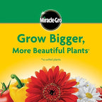Miracle-Gro Water Soluble All Purpose Plant Food - Fertilizer For All Indoor or Outdoor Plants including Roses, Flowers, Vegetables, Houseplants, Trees, and Shrubs, 6.25 lbs.