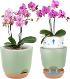 Self Watering Orchid Pots for Indoor Plants,5.8 Inch Macetas para Orqudeas,Flower Pots for Indoor Plants with Holes(Green)