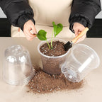RooTrimmer 6 Inch Clear Nursery Pots with Humidity Dome, 15 Pack Durable Seed Starting Pot with Drainage Holes, Transparent Plastic Plant Seedling Pots for Indoor Gardening Plants