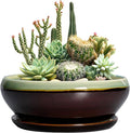 SQOWL Succulent Planters 10 Inch - Ceramic Bonsai Pots with Drainage Hole and Saucer, Shallow Indoor Planter, Round Succulent Pot, Bowl Planter Outdoor, Porch Decor, Gift for Plant Lover, Green-Brown