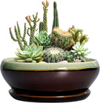 SQOWL Succulent Planters 10 Inch - Ceramic Bonsai Pots with Drainage Hole and Saucer, Shallow Indoor Planter, Round Succulent Pot, Bowl Planter Outdoor, Porch Decor, Gift for Plant Lover, Green-Brown