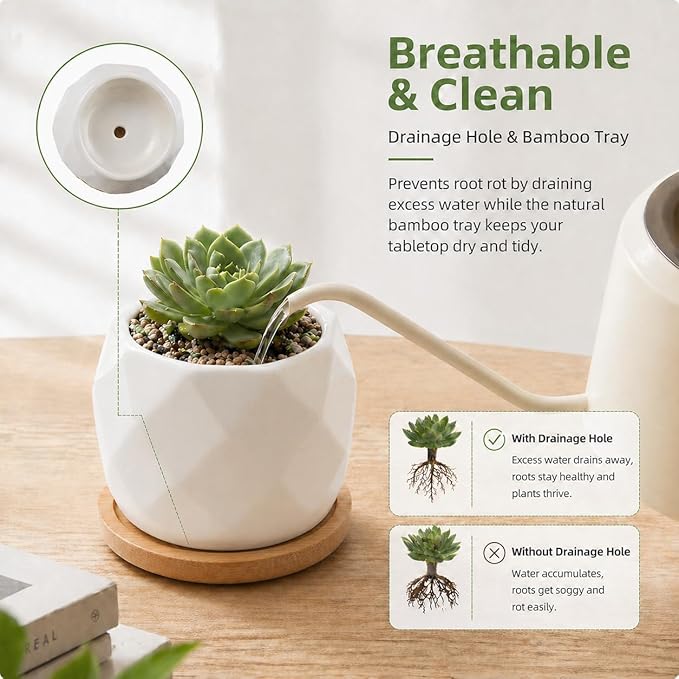 ZOUTOG Succulent Plant Pot 12 Pack, 2.5 inch Square Pattern Ceramic Planters with Bamboo Tray, Small Succulent Pots Indoor, White Office Desk Decor (Seeds＆ Plants Not Included)