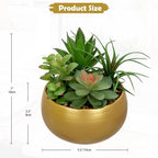 Briful Fake Succulents in Gold Metal Pot, Artificial Succulent Plants Arrangement for Home Decor, Small Faux Potted Plants Tabletop Centerpiece, Desk Office Bathroom Shelf Decorations