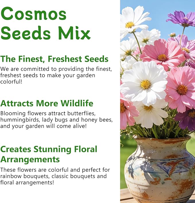 LUOJIBIE Cosmos Seeds, 10,000+ Cosmos Flower Seeds for 2026, Wildflower Seeds for Planting Outdoor Garden, Crazy Blend Mix Color, No Filler, 3 Oz Packet, Easy to Grow