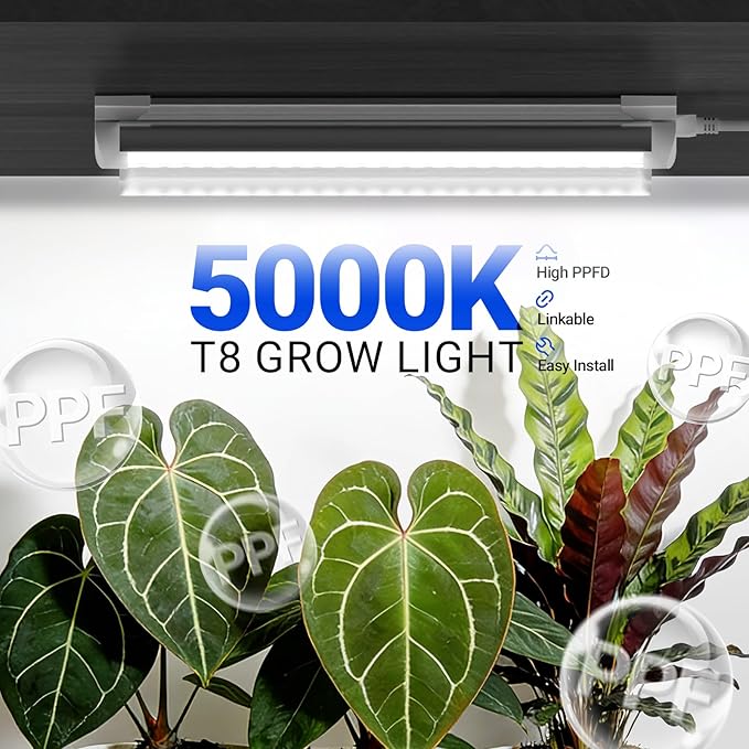 Barrina T8 Grow Lights for Indoor Plants, 5000K White Full Spectrum Grow Light Strip, 60W(4 x 15W), 1FT Plant Light for Greenhouse Indoor Growing, V-Shape with Reflector, Linkable, 4 Packs
