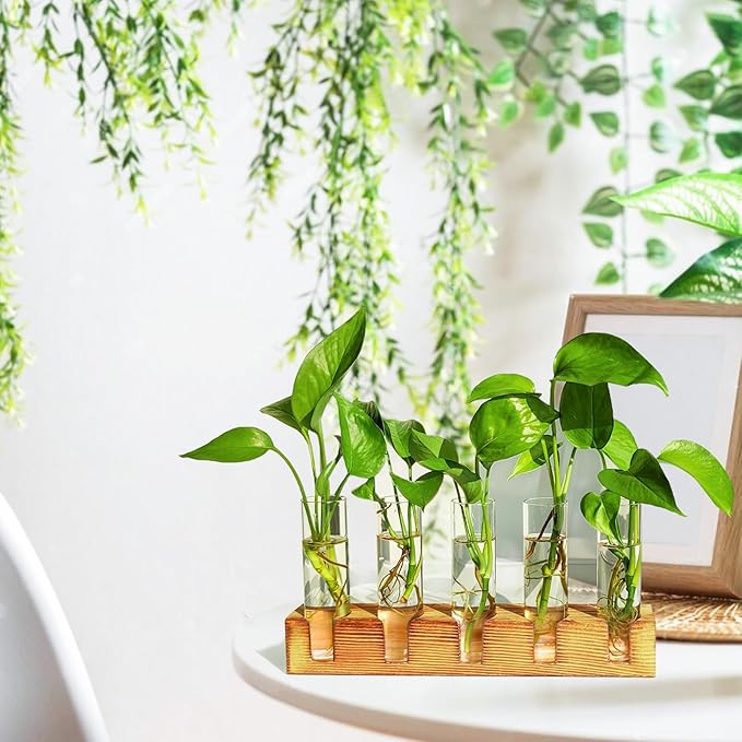 Plant Propagation Station, Plant Terrarium with Wooden Stand for Hydroponics Plants Office Decor Unique Gardening Gifts for Women Plants Lovers - 10 Glass Test Tube Vases