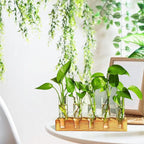 Plant Propagation Station, Plant Terrarium with Wooden Stand for Hydroponics Plants Office Decor Unique Gardening Gifts for Women Plants Lovers - 10 Glass Test Tube Vases