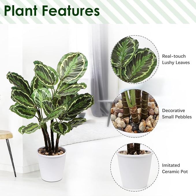 Briful 24.8" Artificial Calathea Medallion Plant Fake Plants Home Décor Tropical Faux Plant in Pot for Home Garden Office Decoration