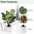 Briful 24.8" Artificial Calathea Medallion Plant Fake Plants Home Décor Tropical Faux Plant in Pot for Home Garden Office Decoration
