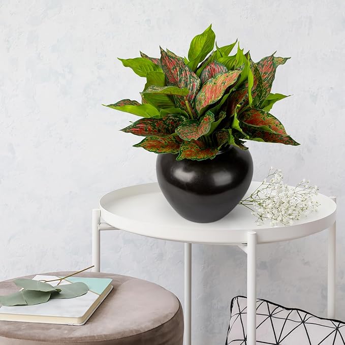 4Pcs 17.7inch Artificial Halcyon Hosta Perennial Plants Faux Red Dieffenbachia Plant Greenery Aesthetic House Plants Outdoor Shrubs Indoor Office Yard UV Resistant Planter Filler（Red）