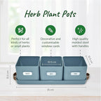 volila Herb Planter Indoor - Set of 3 Teal Blue Indoor Herb Garden Pots for Plants with Leather Handled Tray - Window Sill Plant Shelf - Herb Pots with Drainage Holes and Labels