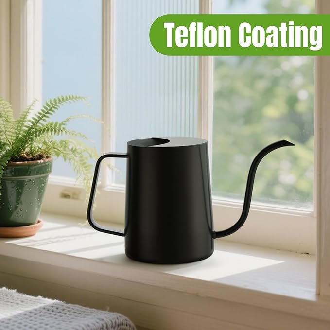 34 oz / 1000 ml Watering Can Indoor Plants, Stainless Steel Plant Watering Can with Long Spout (Black)