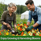 LUOJIBIE Nasturtium Seeds, 550+ Mixed Colors Large Blooms Seeds Bulk Pack, Nasturtium Seeds for Planting 2026, High Germination Non-GMO, Wildflower Seeds for Planting Indoor Outdoor, Open Pollinated