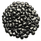 River Rocks 5 Lb, Pebbles for Indoor Plants 0.8"-1.5", Black Rocks for Outdoor Landscaping, Decorative Stones Vase Filler, Fish Tank, Fountain, Succulents, Flower Bed, Black