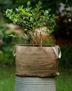 Smart Pots 15-Gallon Smart Pot Soft-Sided Container, Tan with Strap Handles