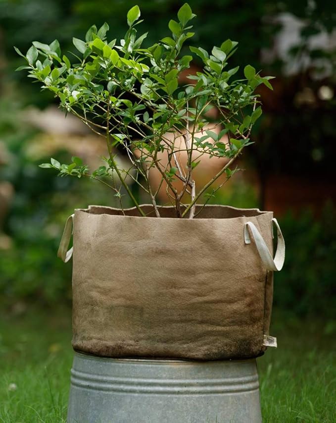 Smart Pots 20-Gallon Smart Pot Soft-Sided Container, Tan with Strap Handles