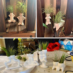 Together-life 4 Pack Ceramic Air Plant Holder, Cute Air Planter Table Top Display Planters for DIY Planting Home Office Decoration Supplies