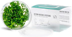 Ultum Nature Systems Pearl Weed Micranthemum Micranthemoides Tissue Culture Live Plant for Aquarium, Aquascape, Freshwater Fish Tanks - 100% Snail Free in Vitro