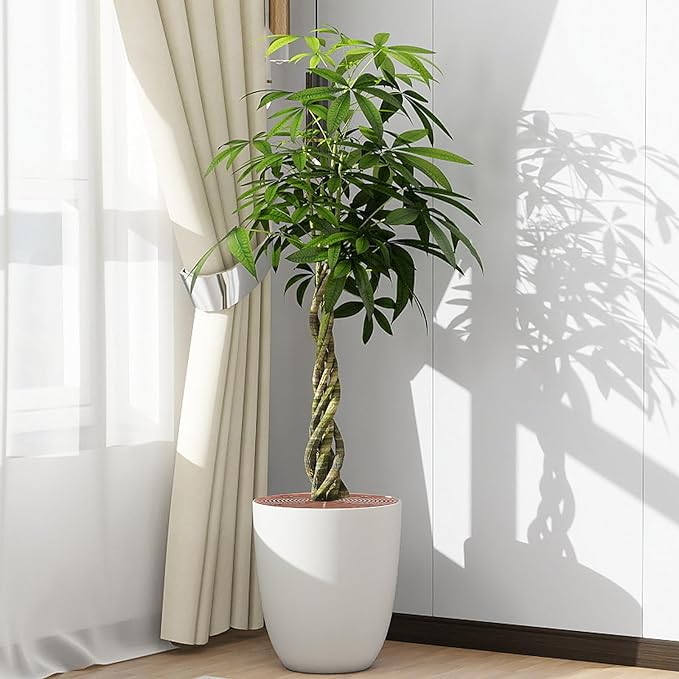 2 Pcs Plant Pot Grid Soil Protector Covers Large and Medium Cuttable Grid Flower Protector with Deep Stakes for Indoor Outdoor Office Hotel Home Furnishing Shopping Mall Garden