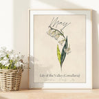 May Birth Flower Art Print - 8x10 (Unframed) | Capturing the Splendor of the May Birth Flower | Decor Accent for Birthdays and Special Occasions | Living Room Decor | Modern Home Decor