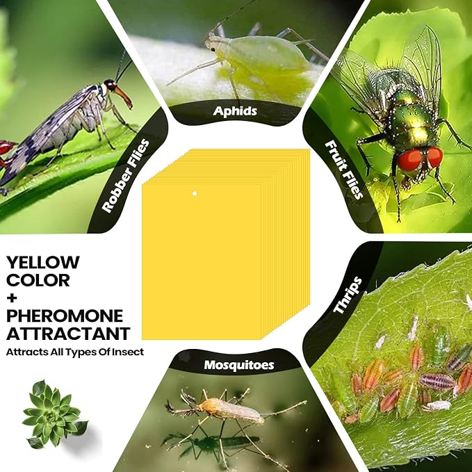 Qualirey 100 Pcs 6x8 Inch Yellow Sticky Traps for Gnats, Dual-Sided Sticky Gnat Traps for Indoor Outdoor Plants, Pest Control for Fungus Gnats, Fruit Flies, Whiteflies – Bulk Pack with Twist Ties
