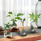 Plant Propagation Station Propagation Vases for Plants Glass Terrariums Vases Bulb with Wooden Stand for Hydroponic Water Plants Indoor, Office Decor Desk Accessories (Green)