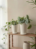 Bamworld Plant Pots Planters for Indoor Plants Flower Pots with Drainage Holes 5.5/6.5 Inch Set of 2 Plastic Planters for Outdoor Plants Garden Pots for Office Room Home Decor White