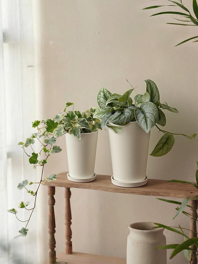 Bamworld Plant Pots Planters for Indoor Plants Flower Pots with Drainage Holes 5.5/6.5 Inch Set of 2 Plastic Planters for Outdoor Plants Garden Pots for Office Room Home Decor White