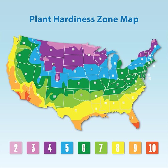 Gardenia Plant (3G), Cape Jasmine Plant Outdoor Plants, Fresh Flowers for Delivery Prime, Live Plants Indoor Plants Live Houseplants, Gardenia Plants Live House Plants Indoors Live by Plants for Pets