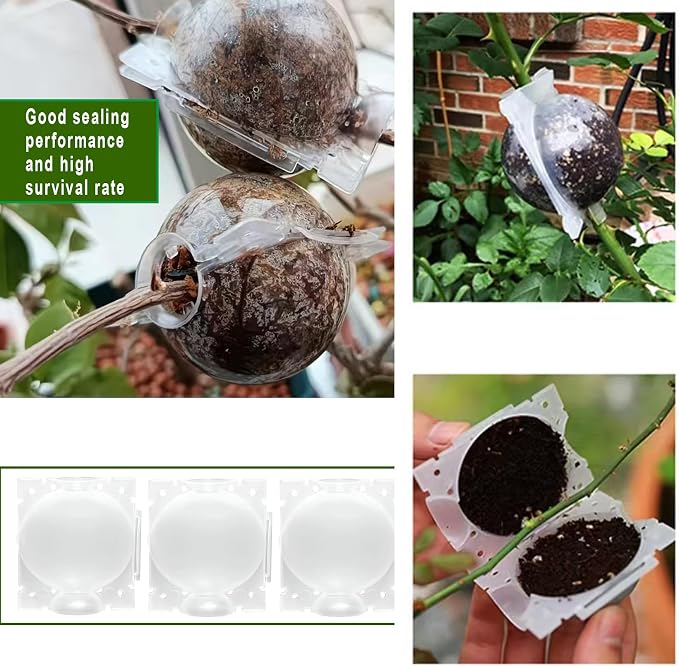 Markeny Reusable Plant Rooting Ball, Plant Propagation Root Ball Effective Invisible Propagation(15PCS), White