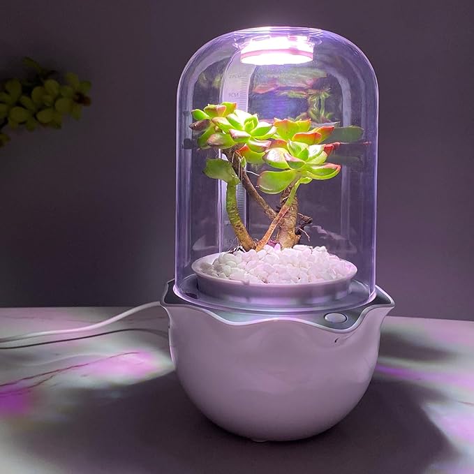 Venus Fly Trap Terrarium Pot with Timer Grow Light&Fan,Plant Terrarium kit for Moss&Cactus,Smart Planter for Carnivorous Plants&Butterwort,Mother's Day Birthday Gifts for Women Garden Lover(no Plant)